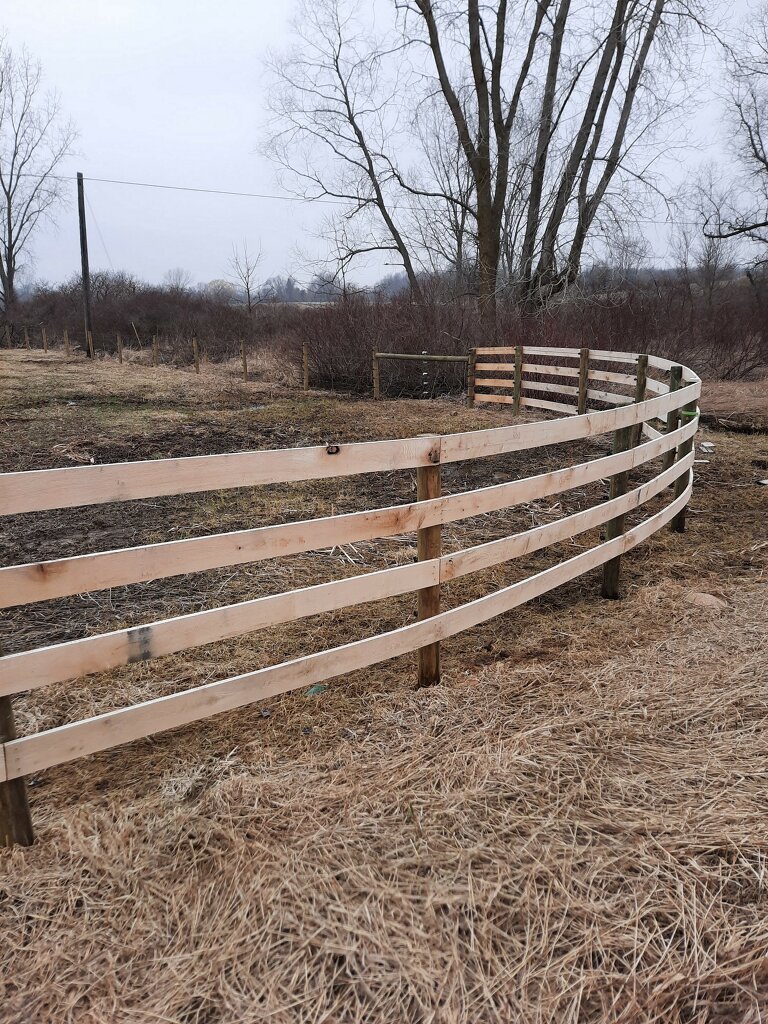 Split Rail Horse Fencing