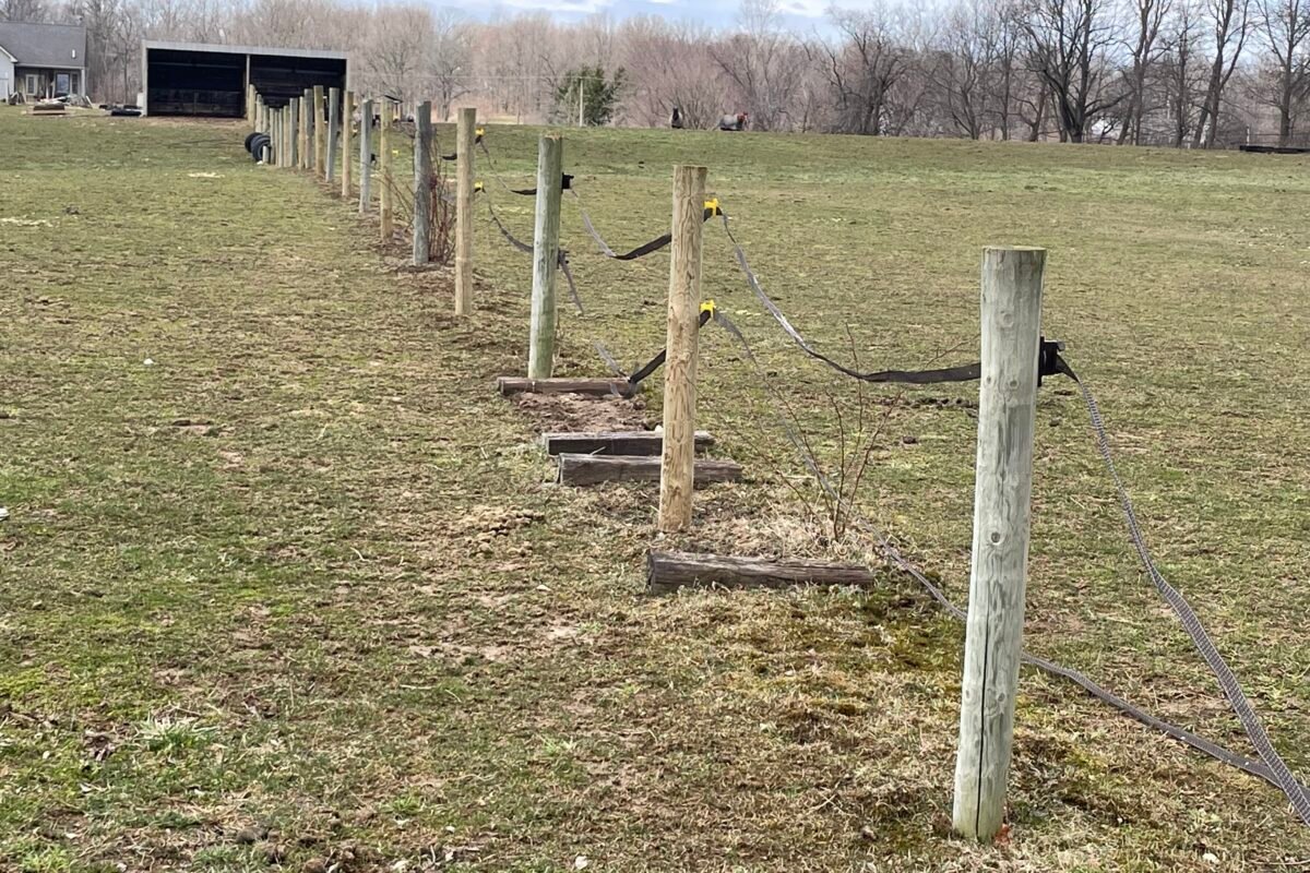 Ag Fence Lapeer, MI